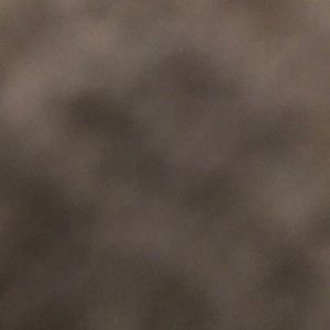 Meet your Posher, Laney